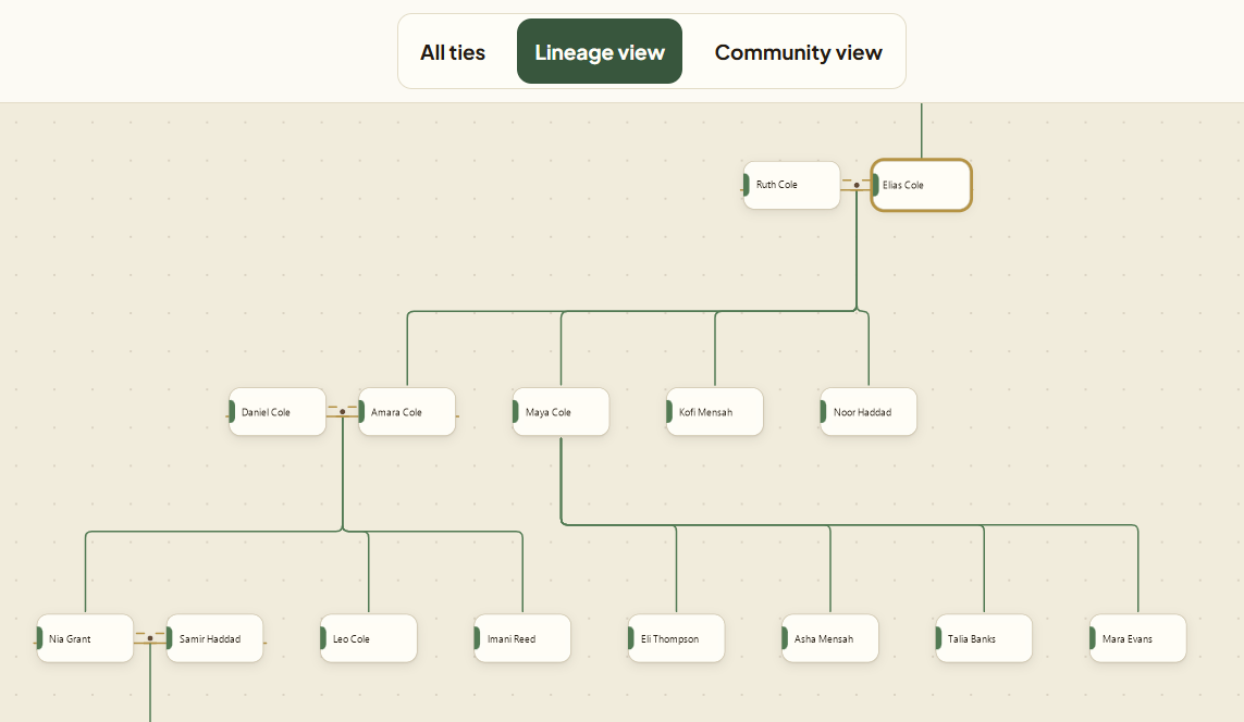 2D relationship map — current Follow My Roots MVP screen using fictional demonstration labels